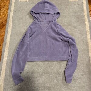 PacSun Purple Hooded Sweater